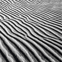 UNDULATION OF SAND