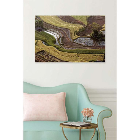 RICE FIELDS poster