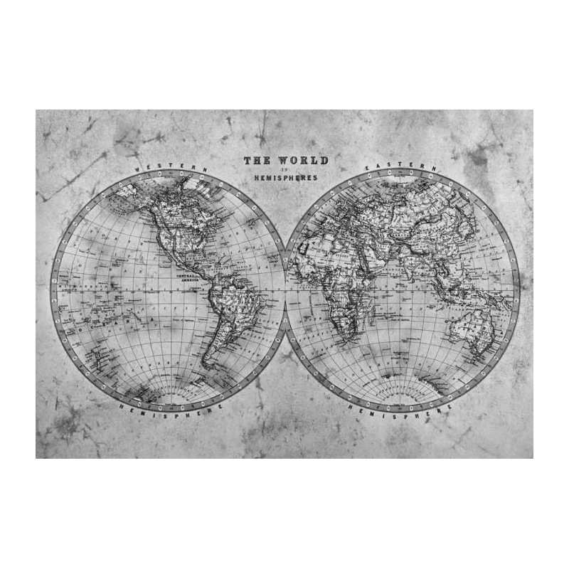 THE WORLD IN HEMISPHERES NB poster - World map poster