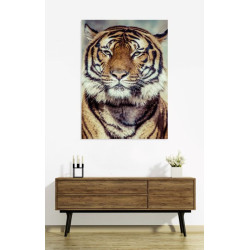 Poster portrait TIGRE