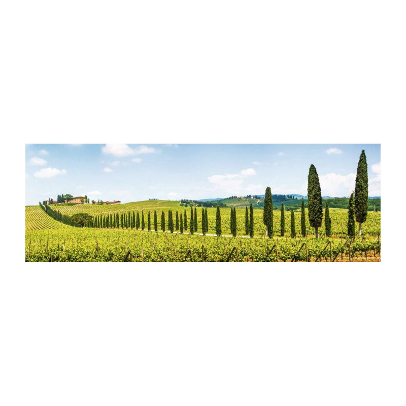 Poster TOSCANE - Poster paysage et nature