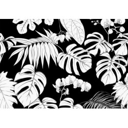 TROPICAL BLACK AND WHITE