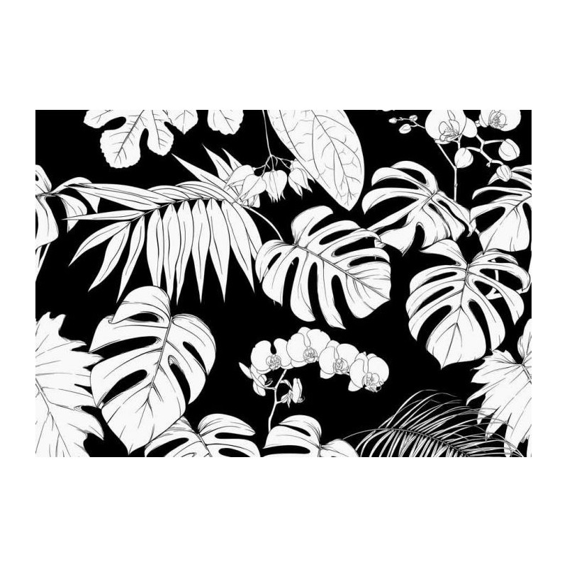 TROPICAL BLACK AND WHITE poster - Design poster