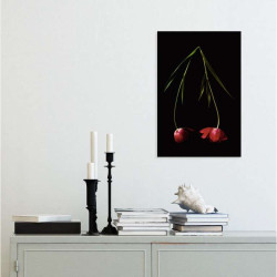 TULIPA poster