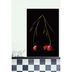 Poster TULIPA