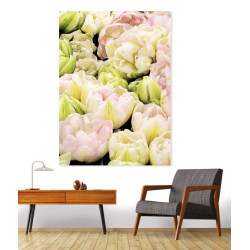 Poster TULIPES ROSES