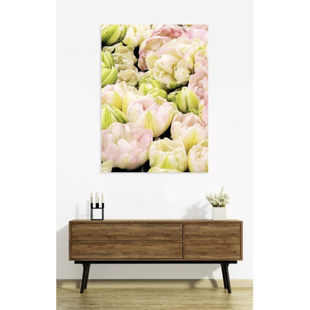 Poster TULIPES ROSES