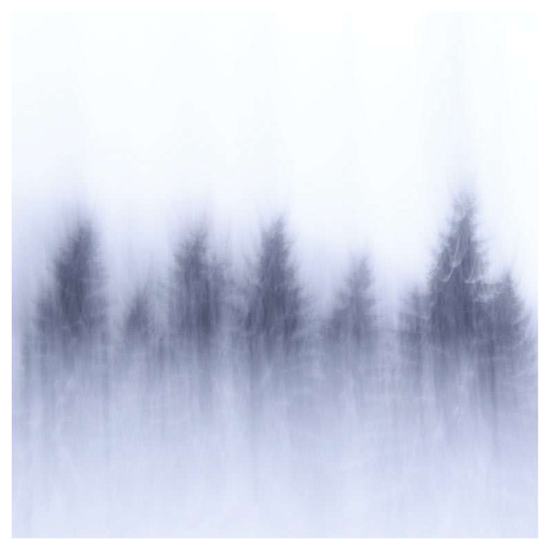 Poster WINTER - Poster foret