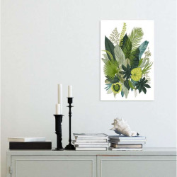 BOTANICAL ILLUSTRATION poster