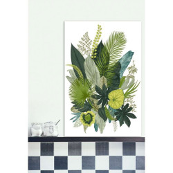 BOTANICAL ILLUSTRATION poster