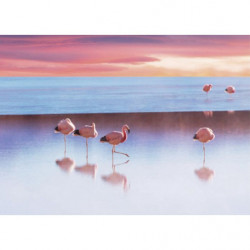 Tableau LE LAC AUX FLAMANTS ROSES