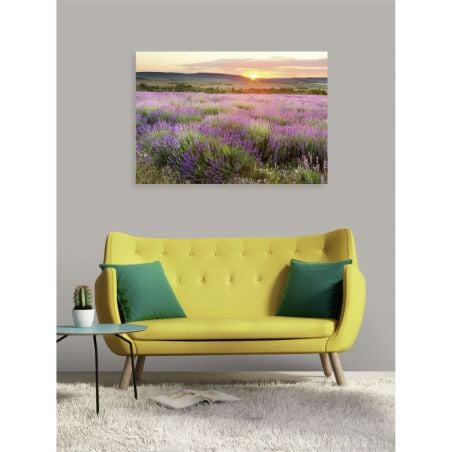 Poster paysage de Provence et coucher de soleil