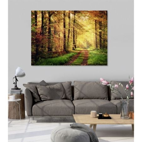 Poster photo forêt en automne