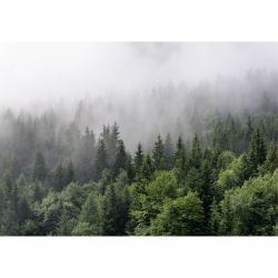 Póster NIEBLA EN EL BOSQUE