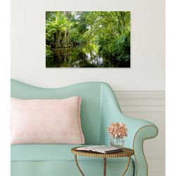 TROPICAL FOREST Poster