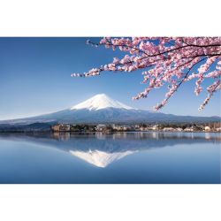 Póster MONTE FUJI