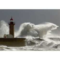 PORTO LIGHTHOUSE Poster