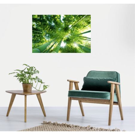 Poster zen bambous verts