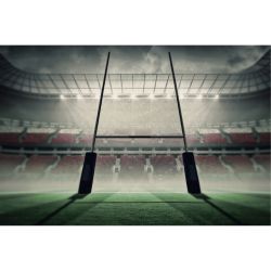 RUGBY STADIUM Poster