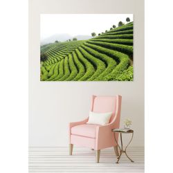 GREEN TEA poster