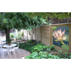 LOTUS Privacy screen