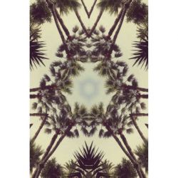 KALEIDOSCOPIC PALM TREES canvas print