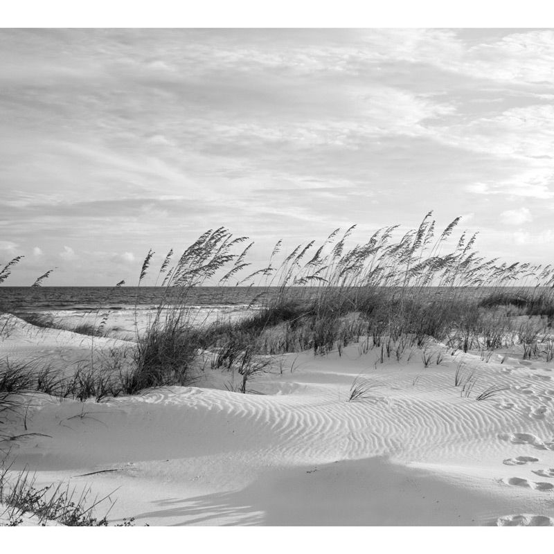 OCEAN SCENE BLACK AND WHITE wallpaper - Panoramic landscape wallpaper