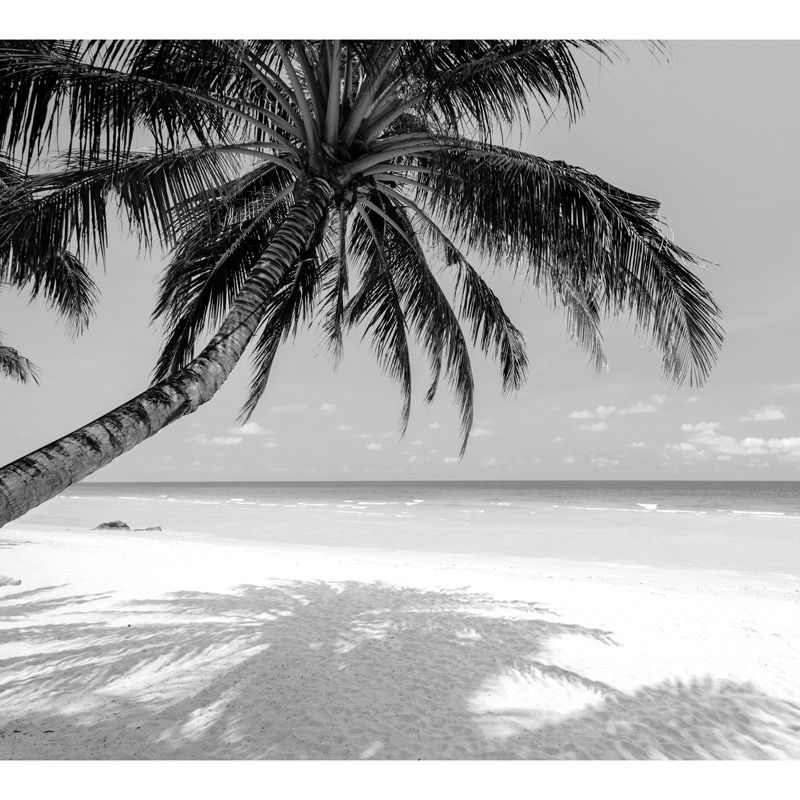 BLACK AND WHITE PARADISE BEACH wallpaper - Black and white panoramic wallpaper