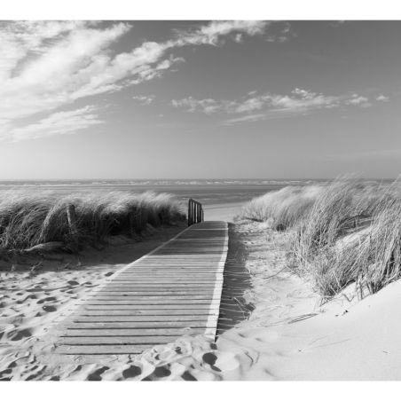 Poster CHEMIN DES DUNES NOIR ET BLANC