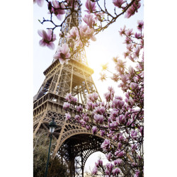 Papel pintado de flores de magnolia frente a la Torre Eiffel