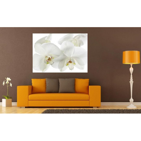 Poster ORCHIDEE blanche