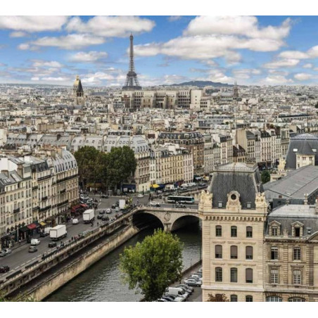 Papier Peint panoramique PRINTEMPS A PARIS