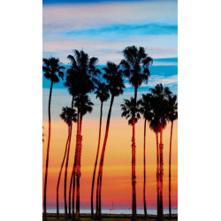 SANTA MONICA wall hanging