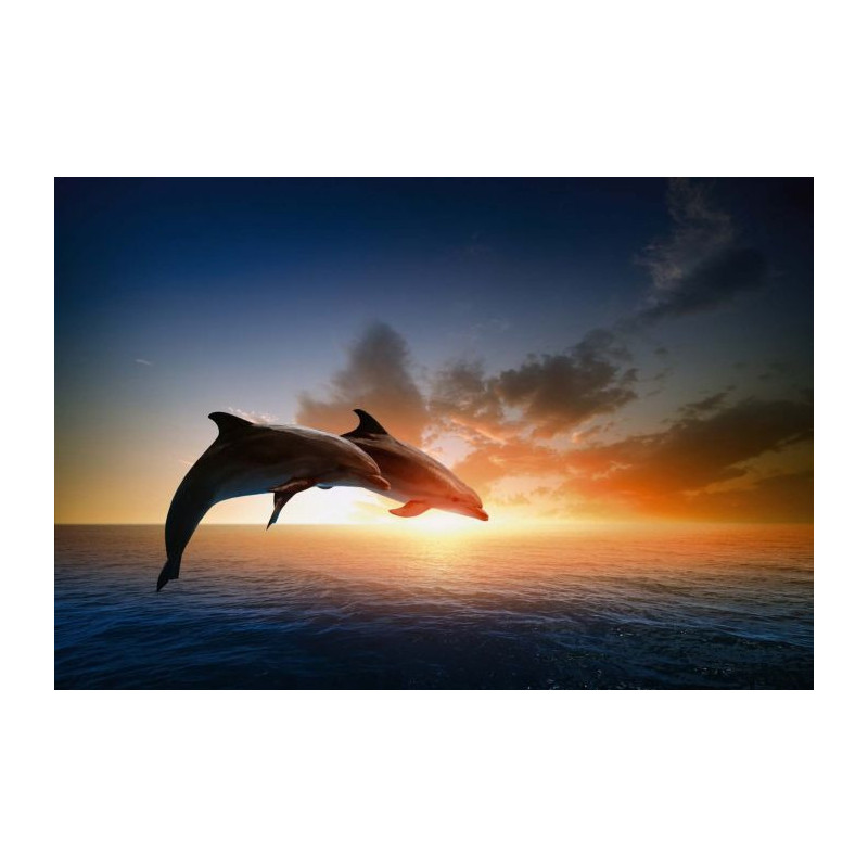 Póster SALTO DE DELFINES - Poster panoramico