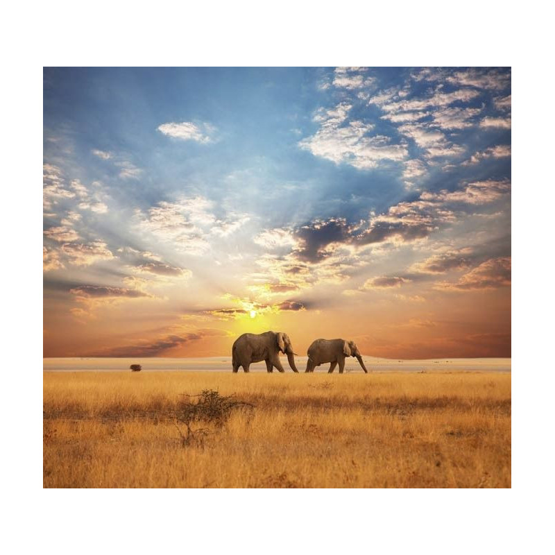 AFRICAN SAVANNAH Wallpaper - Panoramic wallpaper