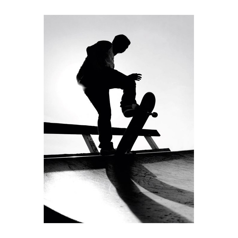 Cuadro en lienzo SKATEPARK - Lienzo blanco y negro