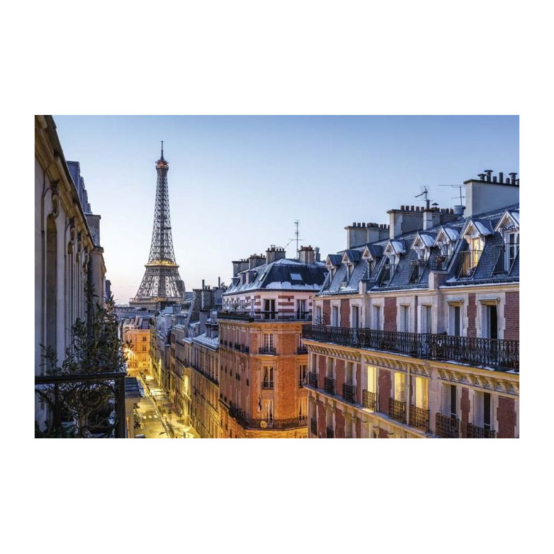 VIEW OF THE EIFFEL TOWER Canvas print - Canvas print paris