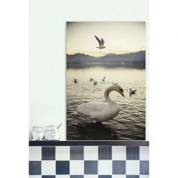 Tableau CYGNE D'ANNECY