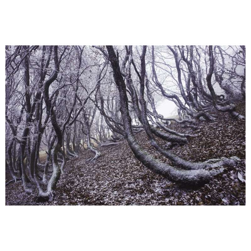 Cuadro en lienzo SINUSOIDAL - Lienzo paisaje y naturaleza