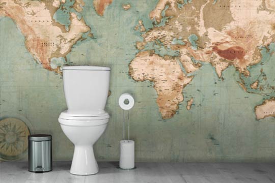 Papier peint toilettes carte du monde vintage